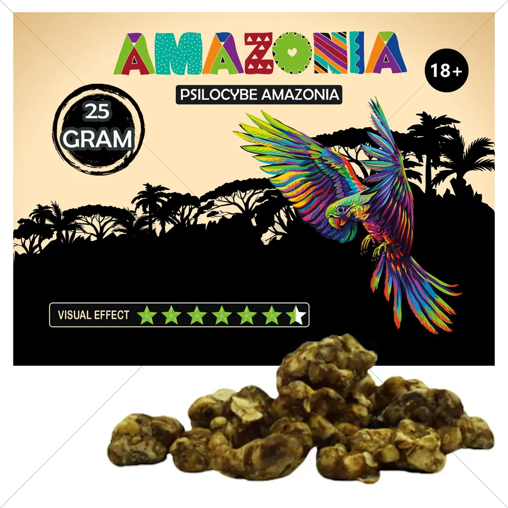 Psilocybe Amazonia Trüffel