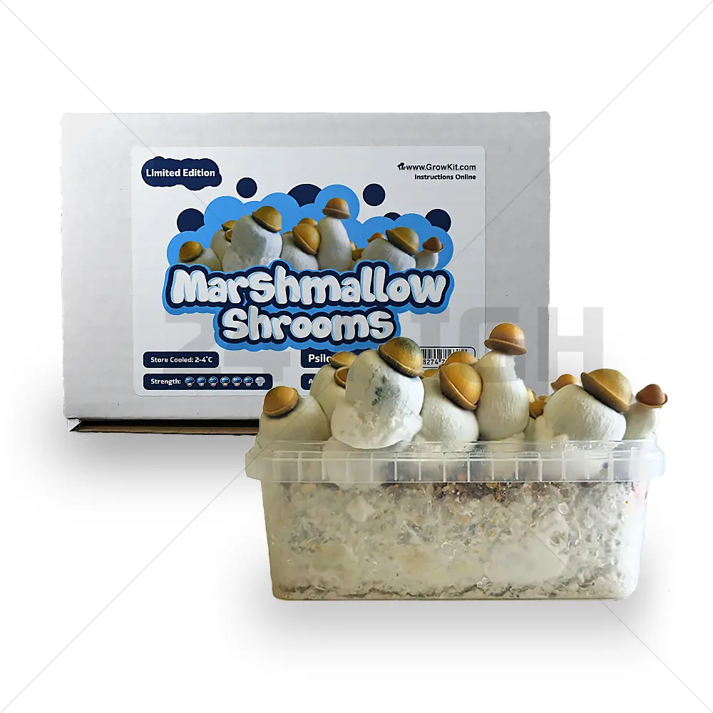 Marshmallow Shrooms Pilze Growkit